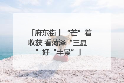 府东街丨“芒”着收获 看菏泽“三夏”好“丰景”